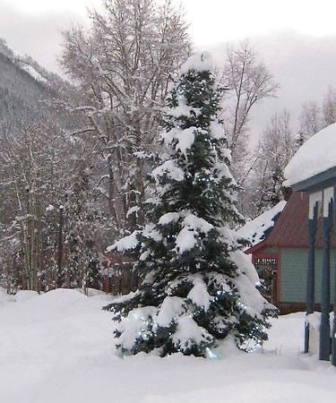 Blair Street Hostel Telluride Eksteriør billede