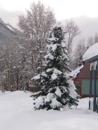 Blair Street Hostel Telluride Eksteriør billede